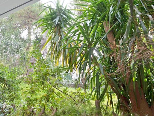 雅典Vouliagmeni'S Secret Garden Near The Sea公寓 外观 照片